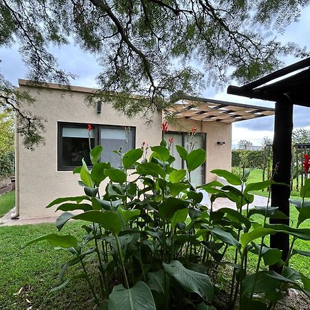 Loft Los Cerezos En Vistalba, Zona De Vinedos Y Bodegas Lujan de Cuyo Dış mekan fotoğraf