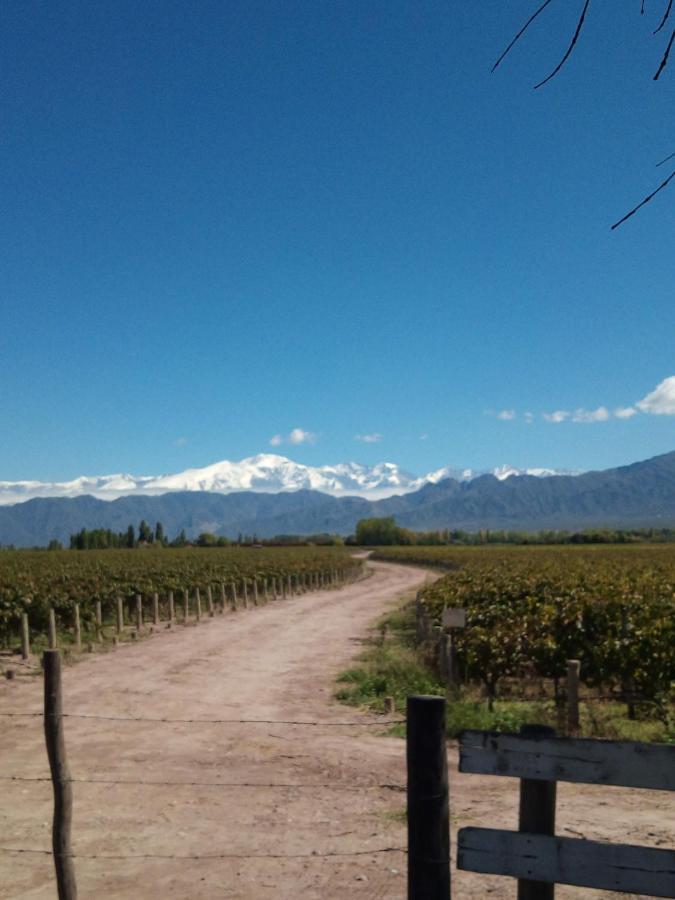 Loft Los Cerezos En Vistalba, Zona De Vinedos Y Bodegas Lujan de Cuyo Dış mekan fotoğraf