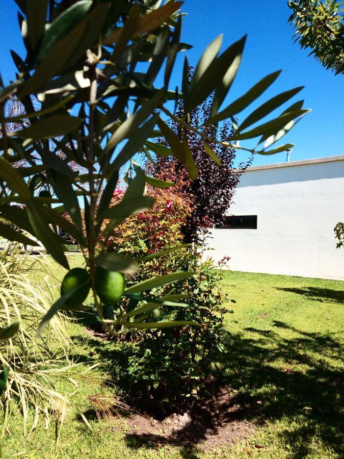 Loft Los Cerezos En Vistalba, Zona De Vinedos Y Bodegas Lujan de Cuyo Dış mekan fotoğraf